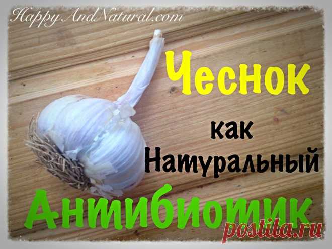 Чеснок как натуральный Антибиотик - Happy & Natural