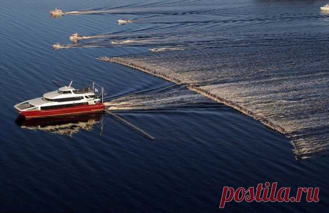 Массовый заезд на водных лыжах в Австралии. В нем приняли участие 145 человек, установив мировой рекорд.