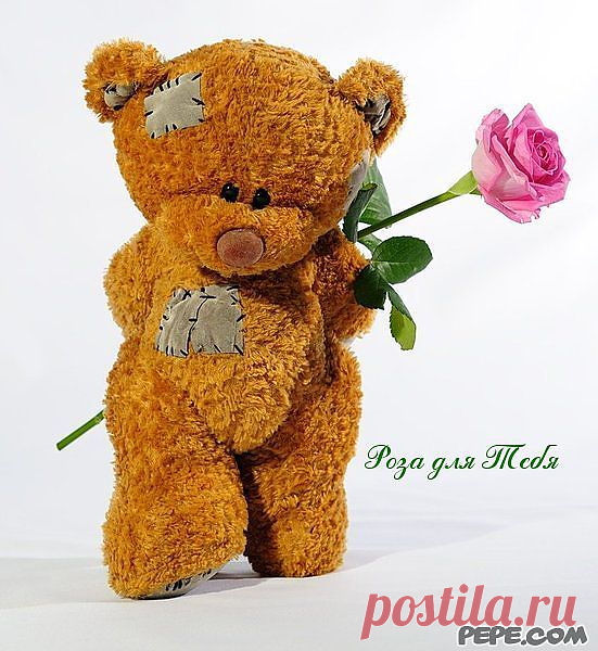 Роза для Тебя - PEPE.com