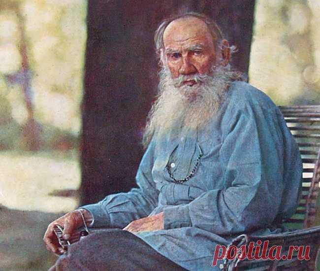 Одно из самых удивительных заблуждений — что счастье человека в том, чтобы ничего не делать.- Цитаты и афоризмы