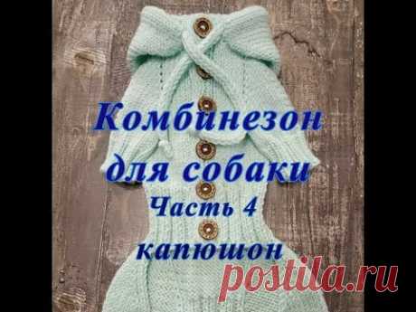 Комбинезон для собаки спицами, часть 4 капюшон