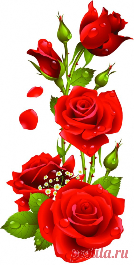 (24) Pinterest