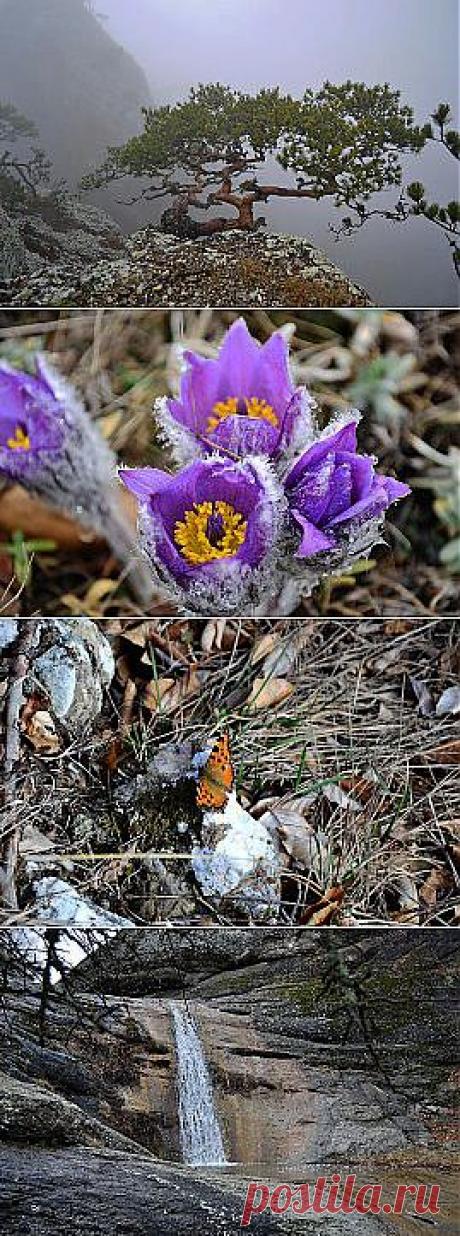 Демерджи, Крым. | Твори, учись и путешествуй…