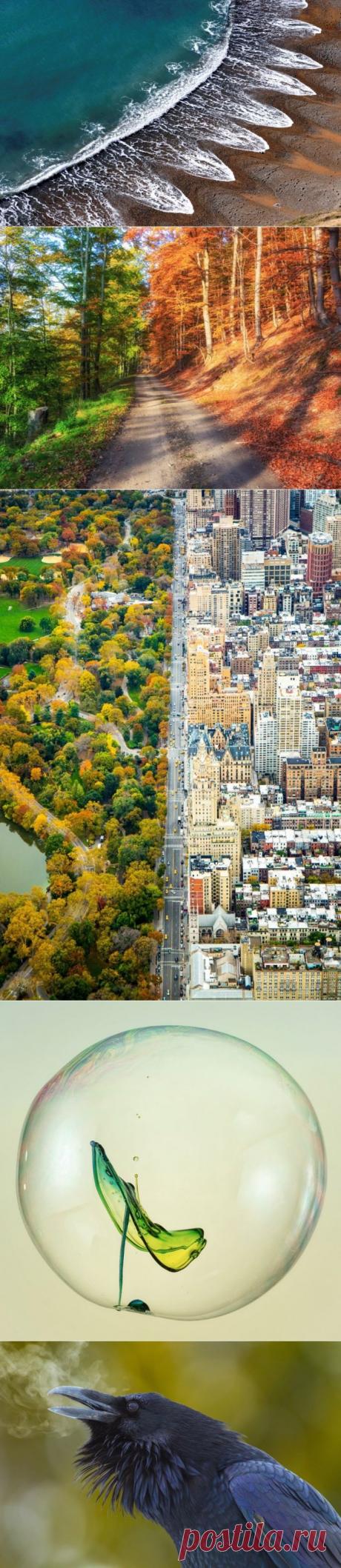 Поверь глазам своим (реальные фото) — Болтай