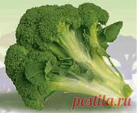 Брокколи - Польза брокколи