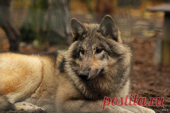 Раны затянутся. 
Главное — о шрамах не вспоминать.