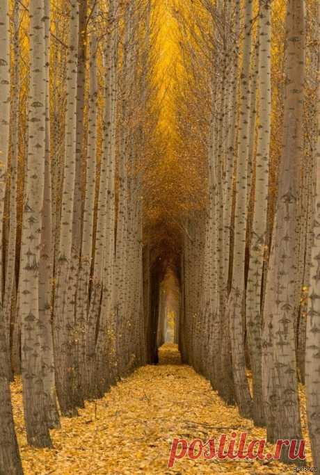 По-осеннему красиво! ...