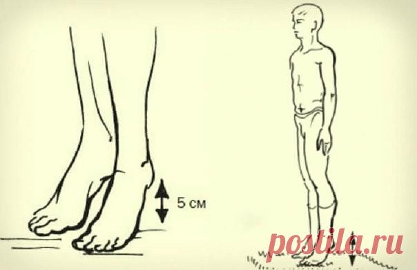 ВИБРОГИМНАСТИКА АКАДЕМИКА МИКУЛИНА: СЕКРЕТ АКТИВНОГО ДОЛГОЛЕТИЯ  
 
 
Виброгимнастика академика Микулина: секрет активного долголетия 
Когда у академика Александра Александровича Микулина, знаменитого авиаконструктора, создателя поршневых, турбовинтовых и турбореактивных двигателей для самолетов, начались проблемы со здоровьем, он увлекся разработкой методик, позволяющих забыть о болезнях и прожить долгую, полноценную жизнь. 

Академик Микулин создал гимнастику, состоящую ...