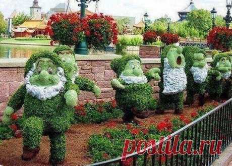 Зеленые гномики)