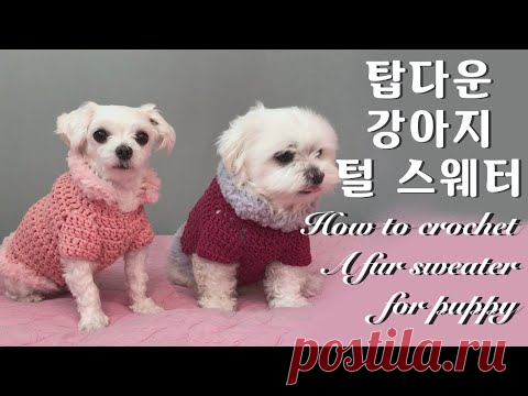 [ENG](코바늘 강아지옷뜨기)탑다운 강아지 털스웨터 뜨기/How to crochet a puppy sweater