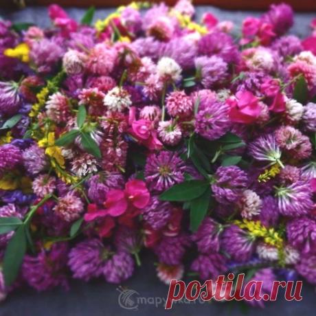 Цветочные добавки для чая