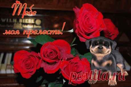 0_140a0e_3cb3429b_XXL.gif (960×643)