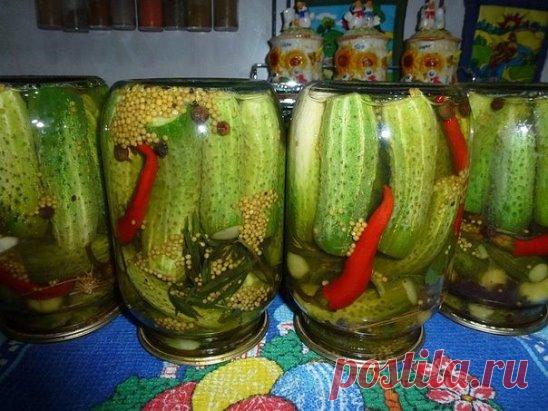 Маринованные огурцы с семенами горчицы от Светланы Вакула (Сусанина)
 
Огурцы помыть отрезать кончики и залить на пару часов водой.Подготовить пряности зонтики укропа,листья хрена,листья смородины,веточки тархуна,зубчики чеснока.Заполнить банки с огурцами,положить зубчики чеснока,один сладкий перчик,десертную ложку горчицы,душистый перец горошком,веточку укропа,веточку тархуна,лист смородины,лист хрена.Залить кипятком,дать постоять 10 минут,слить.Маринад: на 3 литра воды 3 столовых ложки соли,6