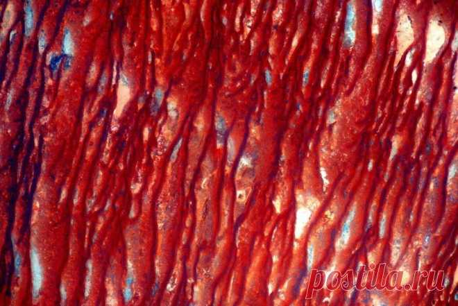 Краски Австралии: космические фотографии от астронавта Скотта Келли (Scott Kelly) — Фотоискусство