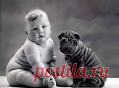Here is what you should know about converting your dog’s age into human years.