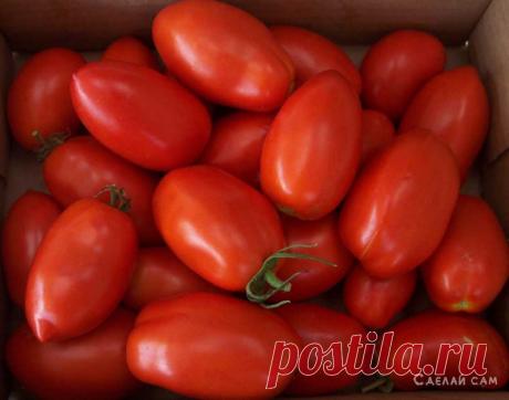 Острые помидоры (рецепт) | Сделай Сам www.sdelay.tv