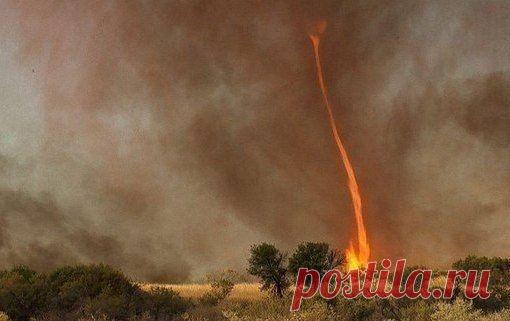 Интересные новости