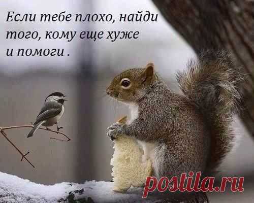 Православные шутят!