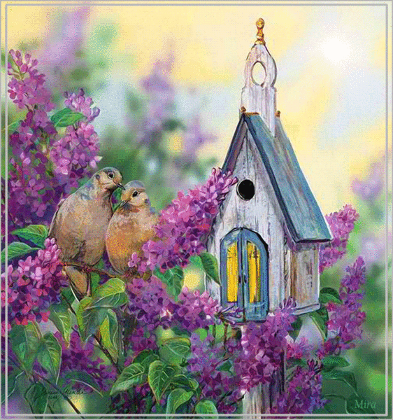 Мой Мир@Mail.Ru