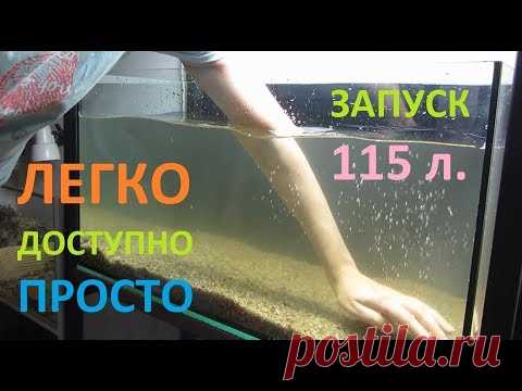 Учимся запускать аквариум / 115 литров / Доступно и просто
