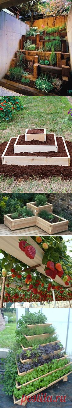 How to build a strawberry planter. | garden design.Идеи для дачи.