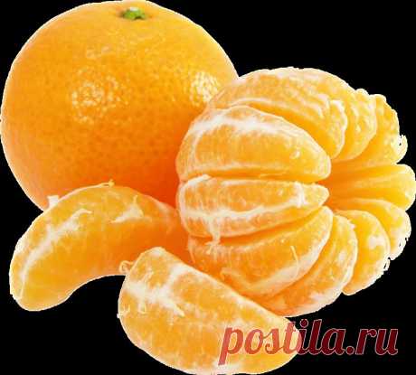 клипарт «дары природы