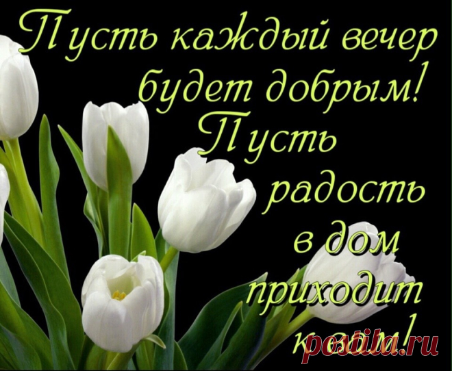 (56) Зина Таирова