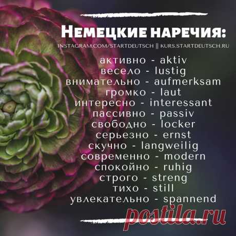 (2) Разговорная практика на немецком языке