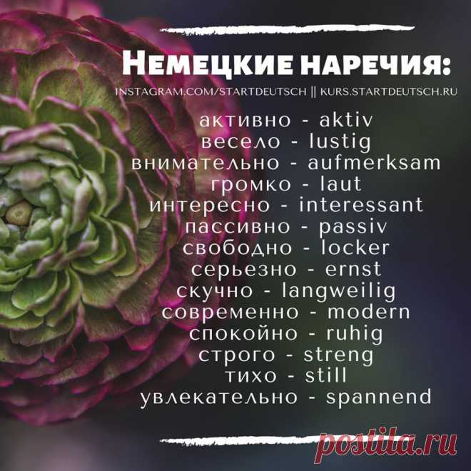 (2) Разговорная практика на немецком языке