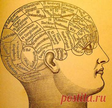 4 упражнения, которые сохранят ясность мышления в старости — Journal women❜s