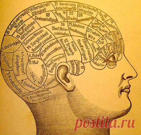 4 упражнения, которые сохранят ясность мышления в старости — Домашний уют