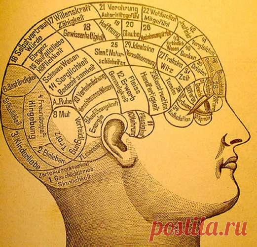 4 упражнения, которые сохранят ясность мышления в старости — Journal women❜s