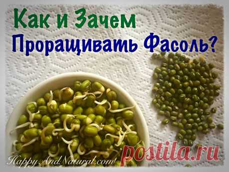 Как и зачем Проращивать Фасоль? - Happy & Natural