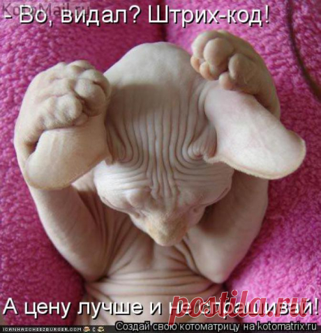 Штрих-код.