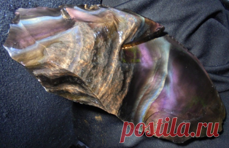 Радужный обсидиан.
Минерал необычайной красоты, обладающий невероятными оттенками и узорами. В соответствии с легендой свое название камень получил, благодаря Обсидию, который привез его в Рим.
#Фирдаус_Батдалова
#имитациякамней #декупаж #шкатулки_из_камней