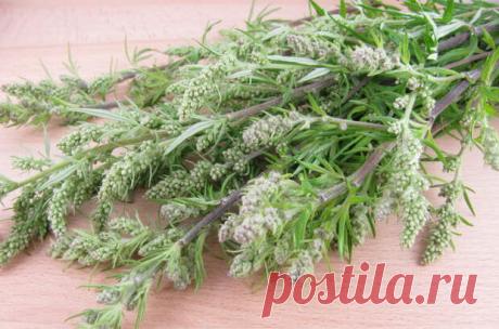 ПОЛЫНЬ: ПОЛЬЗА И ВРЕД ДЛЯ ОРГАНИЗМА ЧЕЛОВЕКА, ПРИМЕНЕНИЕ
  Хотя вы, возможно, знаете полынь как инвазивное садовое растение, это невероятно универсальный ингредиент с длинным списком применений. Она не только является эффективным средством для отпугивания насекомых, но также используется в добавках, средствах по уходу за кожей и приправах. В этой статье подробно рассматривается полынь, в том числе, что это такое, как ее использовать и […]
Читай дальше на сайте. Жми подробнее ➡