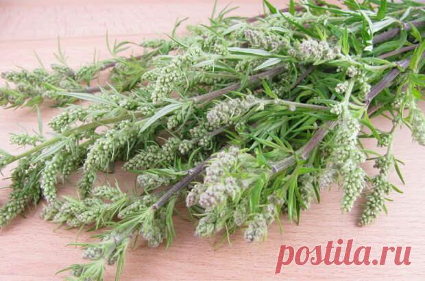 ПОЛЫНЬ: ПОЛЬЗА И ВРЕД ДЛЯ ОРГАНИЗМА ЧЕЛОВЕКА, ПРИМЕНЕНИЕ
  Хотя вы, возможно, знаете полынь как инвазивное садовое растение, это невероятно универсальный ингредиент с длинным списком применений. Она не только является эффективным средством для отпугивания насекомых, но также используется в добавках, средствах по уходу за кожей и приправах. В этой статье подробно рассматривается полынь, в том числе, что это такое, как ее использовать и […]
Читай дальше на сайте. Жми подробнее ➡