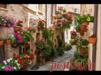 Blog Decoraci N E Interiorismo Dise O De Hermosas Ideas Patios Andaluces Fotos 5542 | Aesieap.org