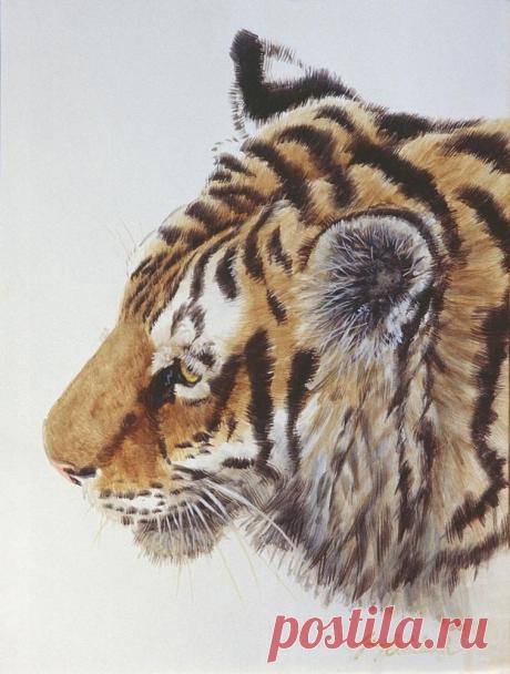 Кошачьи портреты Гая Коэлича - Искусство животных Гая Коэлича