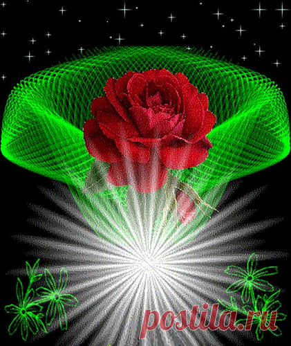 Red Rose | Flickr - Photo Sharing!