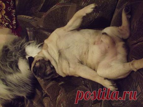 присел на дорожку