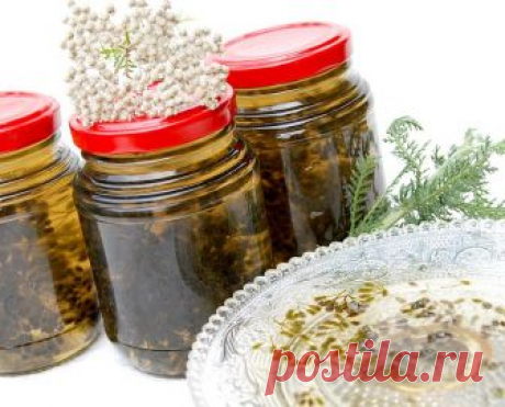 Сироп, который лечит печень, почки и ЖКТ Помогает вылечиться даже от цирроза печени. «У меня была соседка, которая очень любила выпить, причем, крепко выпить. И так она к этому делу пристрастилась, что посадила печень до...