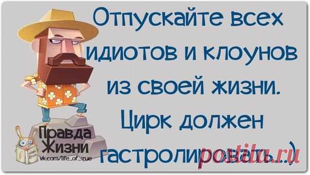Интересные фразочки в картинках | Домашняя аптечка