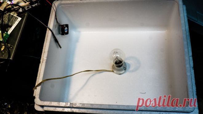 Простой тепловой стерилизатор на лампочке и Arduino Приветствую всех любителей помастерить, предлагаю к рассмотрению инструкцию по изготовлению простого теплового стерилизатора на основе тепловой энергии. По данным исследований, коронавирус, да и многие другие вирусы не выдерживают температуру 70 градусов Цельсия. Есть такой популярный способ