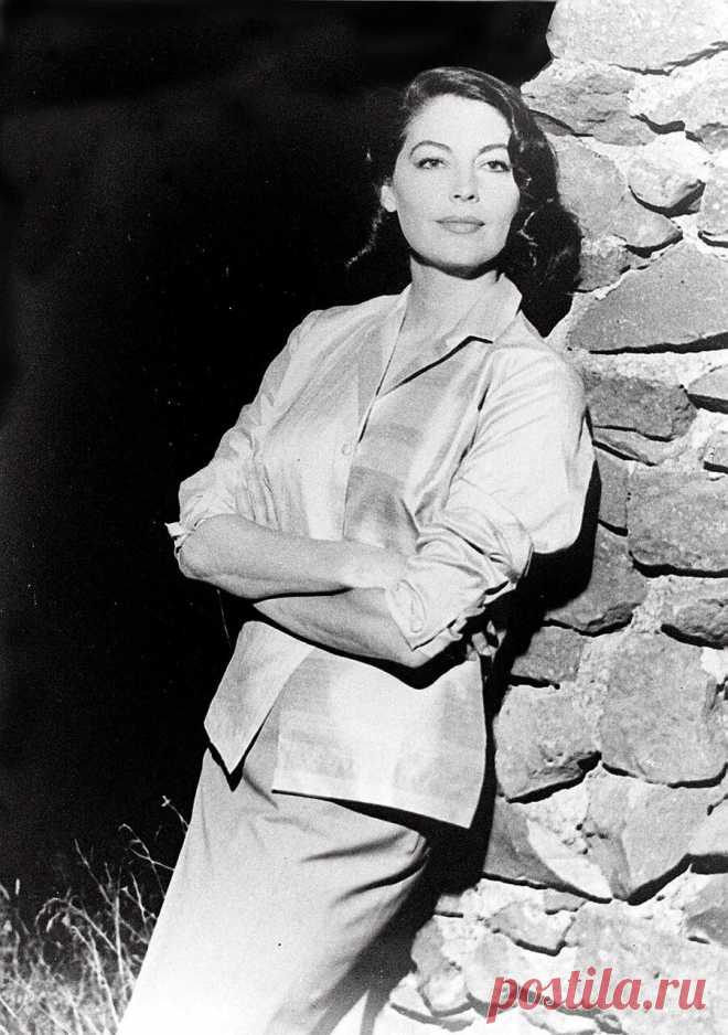 The special edition: Ava Gardner: humus — ЖЖ