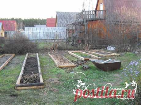 ПОДЗИМНИЕ ПОСЕВЫ - СБЕРЕЖЕНИЕ ВЕСЕННЕГО ВРЕМЕНИ и не только...!!!
Что же можно сажать осенью???