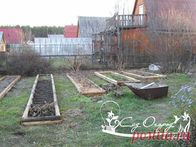 ПОДЗИМНИЕ ПОСЕВЫ - СБЕРЕЖЕНИЕ ВЕСЕННЕГО ВРЕМЕНИ и не только...!!!
Что же можно сажать осенью???