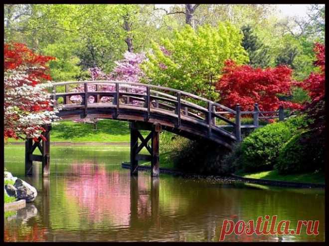 АЛЕКСАНДР ЗАРАЕВ: СОСТОЯНИЕ БИОСФЕРЫ ЗЕМЛИ В МАРТЕ- ВПЕРЕД НА ВСТРЕЧУ НОВЫМ СВЕРШЕНИЯМ! ПРЕДСТАВЛЯЮ. -