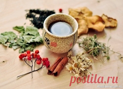 Травы для похудения Дорогие мои читатели! Прошу вас, никогда не пейте таблетки для похудения, а вот травы для похудения принесут пользу всему вашему организму! 1. 1 столовая ложка сухого вереска на 2 стакана кипятка, настаивать 2 часа, процедить. Принимать по 1/2 стакана 4 раза в день до еды. 2. 1...