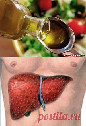 Очищение печени запускает механизм омоложения - Очищение организма - Каталог статей - Мензурка